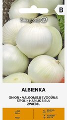 Лук Albienka, 1 г цена и информация | Семена овощей, ягод | kaup24.ee