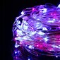 Valguskett 20 LED MicroLED "Smart", roosa/sinine hind ja info | Jõulutuled | kaup24.ee