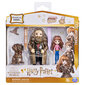 Maagilised sõbrad - Hermione & Hagrid Harry Potter hind ja info | Poiste mänguasjad | kaup24.ee