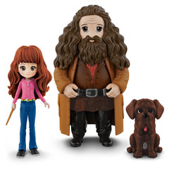 Maagilised sõbrad - Hermione & Hagrid Harry Potter hind ja info | Poiste mänguasjad | kaup24.ee