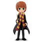 Maagiline mini nukk Harry Potter, 7.5 cm hind ja info | Poiste mänguasjad | kaup24.ee