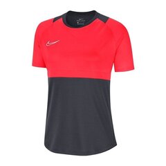 Naiste T-särk Nike Dry Academy 20 W BV6940- 066 (53421) hind ja info | Naiste spordiriided | kaup24.ee