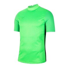 Мужская спортивная футболка Nike Gardien III GK M BV6714-398 54547, зеленая цена и информация | Мужская спортивная одежда | kaup24.ee