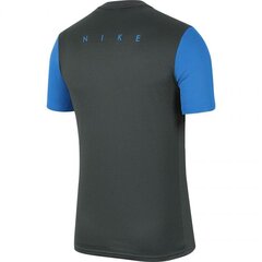 Спортивная футболка для мальчиков Nike Dry Academy PRO TOP SS Jr BV6947 062, 55452 цена и информация | Рубашки для мальчиков | kaup24.ee