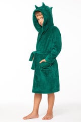 Poiste hommikumantel Envie Aligator (Roheline) цена и информация | Пижамы, халаты для мальчиков | kaup24.ee