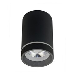 Azzardo светильник Bill AZ3376 цена и информация | Потолочные светильники | kaup24.ee