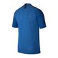 Meeste spordisärk Nike Dry Strike SS Top M AJ1018 463, sinine цена и информация | Meeste spordiriided | kaup24.ee