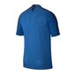 Poiste T-särk Nike Dri Fit Strike SS Top JR AJ1027-463, 49250 цена и информация | Poiste särgid | kaup24.ee