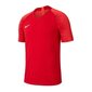 Meeste spordisärk Nike VaporKnit II SS M AQ2672-657 (50796) цена и информация | Meeste spordiriided | kaup24.ee