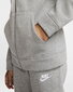 Nike laste dressikomplekt NSW TRK SUIT CORE, hall hind ja info | Komplektid poistele | kaup24.ee