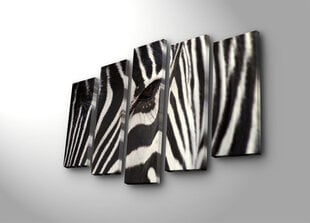 Viieosaline reproduktsioon Zebra hind ja info | Seinapildid | kaup24.ee