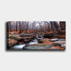 Reproduktsioon Voolav jõgi цена и информация | Картины, живопись | kaup24.ee