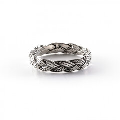 Серебряное кольцо SG7C3011 цена и информация | Кольцо | kaup24.ee