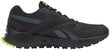 Meeste jooksujalatsid Reebok Lavante Terrain Black G58583, must цена и информация | Spordi- ja vabaajajalatsid meestele | kaup24.ee