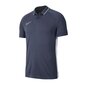 Meeste spordisärk Nike Dry Academy 19 Polo M BQ1496-060, 48405 цена и информация | Meeste spordiriided | kaup24.ee