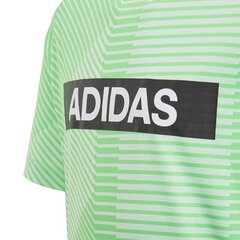 Футболка для мальчиков Adidas Branded Junior DV1365, зеленая цена и информация | Рубашки для мальчиков | kaup24.ee