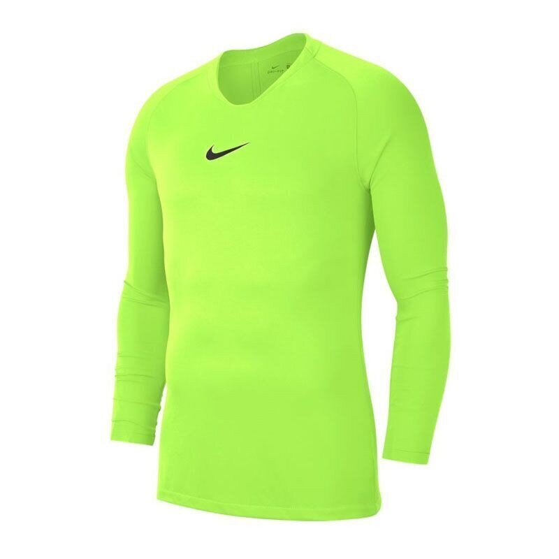 Poiste spordisärk Nike Dry Park JR AV2611-702, roheline hind ja info | Poiste särgid | kaup24.ee