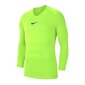 Poiste spordisärk Nike Dry Park JR AV2611-702, roheline hind ja info | Poiste särgid | kaup24.ee