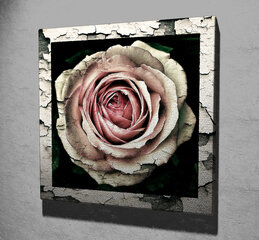 Картина Роза цена и информация | Картины, живопись | kaup24.ee