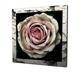 Картина Роза цена и информация | Картины, живопись | kaup24.ee