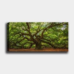 Reproduktsioon Saja-aastane puu цена и информация | Картины, живопись | kaup24.ee