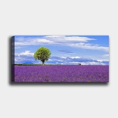 Reproduktsioon Puu lavendliväljal цена и информация | Настенные деревянные декорации | kaup24.ee