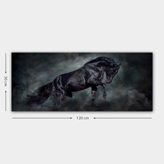 Репродукция Черная лошадь цена и информация | Картины, живопись | kaup24.ee