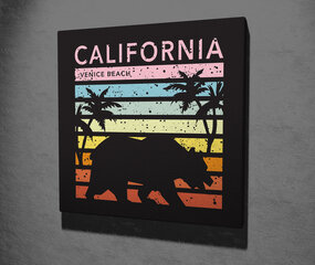 Reproduktsioon California hind ja info | Seinapildid | kaup24.ee