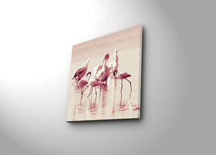 Репродукция Фламинго цена и информация | Репродукции, картины | kaup24.ee