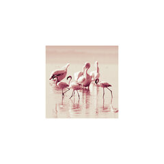 Репродукция Фламинго цена и информация | Репродукции, картины | kaup24.ee