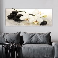 Репродукция Орхидея цена и информация | Репродукции, картины | kaup24.ee