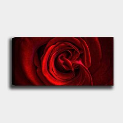 Репродукция Цветок розы цена и информация | Репродукции, картины | kaup24.ee