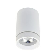 Azzardo светильник Bill AZ3375 цена и информация | Потолочные светильники | kaup24.ee
