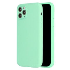 Силиконовый чехол Vennus для iPhone 12 Pro, светло-зеленый цена и информация | Чехлы для телефонов | kaup24.ee
