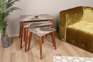 Набор из 3-х столов Kalune Design Siv, коричневый/серый цена и информация | Журнальные столики | kaup24.ee