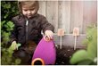 Aiatööriistade kast My First Fiskars lastele hind ja info | Aiatööriistad | kaup24.ee