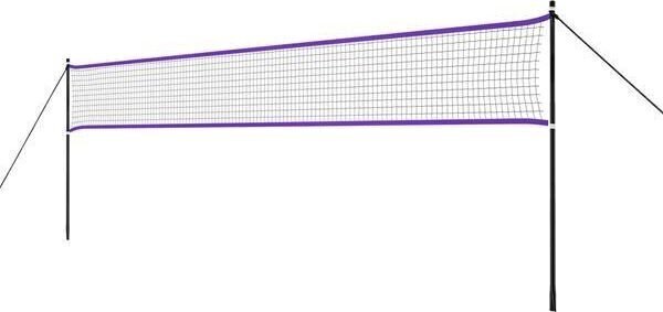 Sulgpallivõrk Nils NT300, 620x160 cm цена и информация | Sulgpall | kaup24.ee