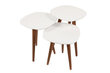 3-laua komplekt Kalune Design Nadva, valge/pruun цена и информация | Diivanilauad | kaup24.ee