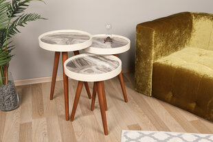 3-laua komplekt Kalune Design Neep, pruun/hall hind ja info | Diivanilauad | kaup24.ee