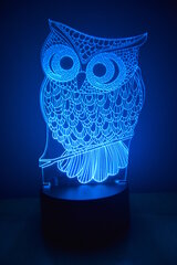 Ночная светодиодная лампа цена и информация | Настольная лампа | kaup24.ee