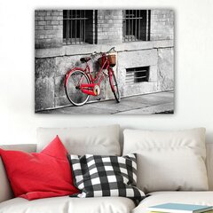 Репродукция Красный велосипед цена и информация | Картины, живопись | kaup24.ee
