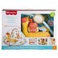 Tegelusmatt kaelkirjakuga Fisher Price цена и информация | Tegelustekid | kaup24.ee