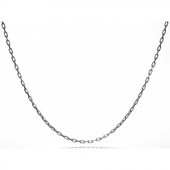 Серебряная цепочка SD1401 цена и информация | Украшение на шею | kaup24.ee