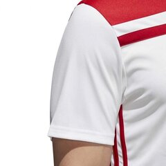 Meeste spordisärk Adidas Regista 18 M CE8969, valge hind ja info | Meeste spordiriided | kaup24.ee