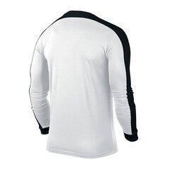 Спортивная футболка для мальчиков Nike JR Striker Dri Fit IV Jr 725977-103 (47465) цена и информация | Рубашки для мальчиков | kaup24.ee