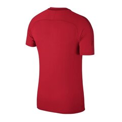Спортивная футболка для мальчиков Nike JR Academy 18 Jr 893750-657, 47762 цена и информация | Рубашки для мальчиков | kaup24.ee
