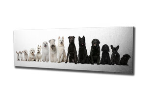 Репродукция Белые и черные собаки цена и информация | Картины, живопись | kaup24.ee