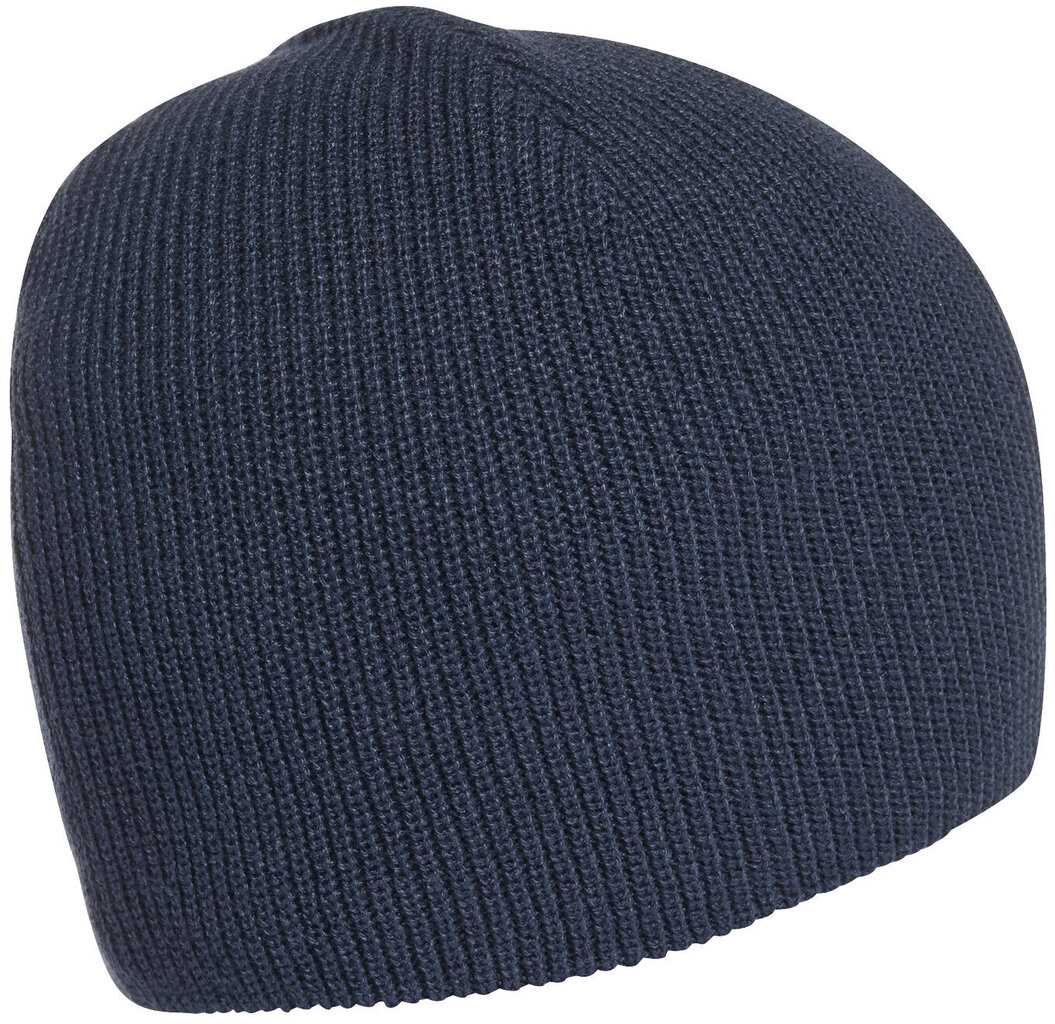 Adidas Kootud Mütsid Perf Beanie Blue GS2114/OSFM hind ja info | Meeste sallid, mütsid ja kindad | kaup24.ee