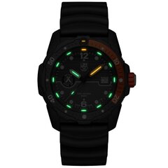 Luminox Bear Grylls Survival SEA Series XB.3729 XB.3729 цена и информация | Мужские часы | kaup24.ee
