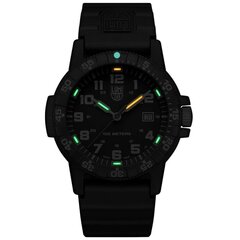 Мужские часы Luminox Leatherback Sea Turtle Giant XS.0321.L цена и информация | Мужские часы | kaup24.ee